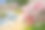 日本长野，池山温泉，桃花盛开素材图片