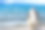 纳木措湖畔的白牦牛素材图片