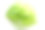 卷心莴苣素材图片
