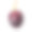红色的葡萄浆果束孤立在白色的背景切口素材图片