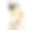 后视图的哈巴狗孤立的白色素材图片