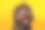 巧克力拉布拉多犬肖像拍摄在工作室黄色背景素材图片