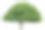 白色背景上的绿树素材图片