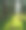 阳光在天然云杉林地，苔藓覆盖的森林地板素材图片
