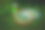 两支羽毛球拍在阳光明媚的草木绿鲜的背景上。素材图片