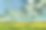 梵高风格的绿色夏日草地风景画素材图片