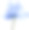 蓝白色的花郁金香在一个白色孤立的背景与修剪路径。特写镜头。没有阴影。白色的镜头。大自然。素材图片