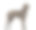 10个月大的大丹犬，在白色背景下素材图片