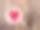 情人节布丁红浆果心素材图片