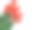 一排红色的郁金香在白色的背景上素材图片