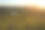 日落在南阿尔伯塔草原草原。素材图片