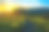 罗安高地阿巴拉契亚山道上的日出素材图片