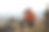 年轻的专业旅行家拿着数码单反相机拍摄户外美妙的山景。一个徒步旅行者坐在山顶的一块岩石上，在云层上摄影素材图片