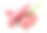 红薯和叶子(库马拉)孤立在白色的背景素材图片