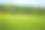 郁郁葱葱的球道在前景中形成对比，在远处是一个高尔夫球场。素材图片