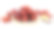 红枣，中国的红枣干上有白果素材图片