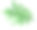 philodendron的绿色热带丛林叶子(也称为philodendron bipinnatifidum, Selloum, horsehead)。手绘水彩画插图孤立的白色背景。素材图片