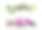 设置水彩手绘粉红色和紫色的菊花或百合和绿叶孤立在白色的背景。艺术创作水平对象贴纸，卡片，墙纸，纺织品，包装素材图片