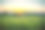 日落时绿色的田野素材图片