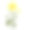 重阳节写实菊花素材图片