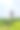 中国江苏扬州瘦西湖风景区大明寺栖灵塔素材图片